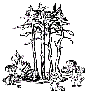 Logo Kindertagesstätte 'Am Kiefernhain' Hainburg